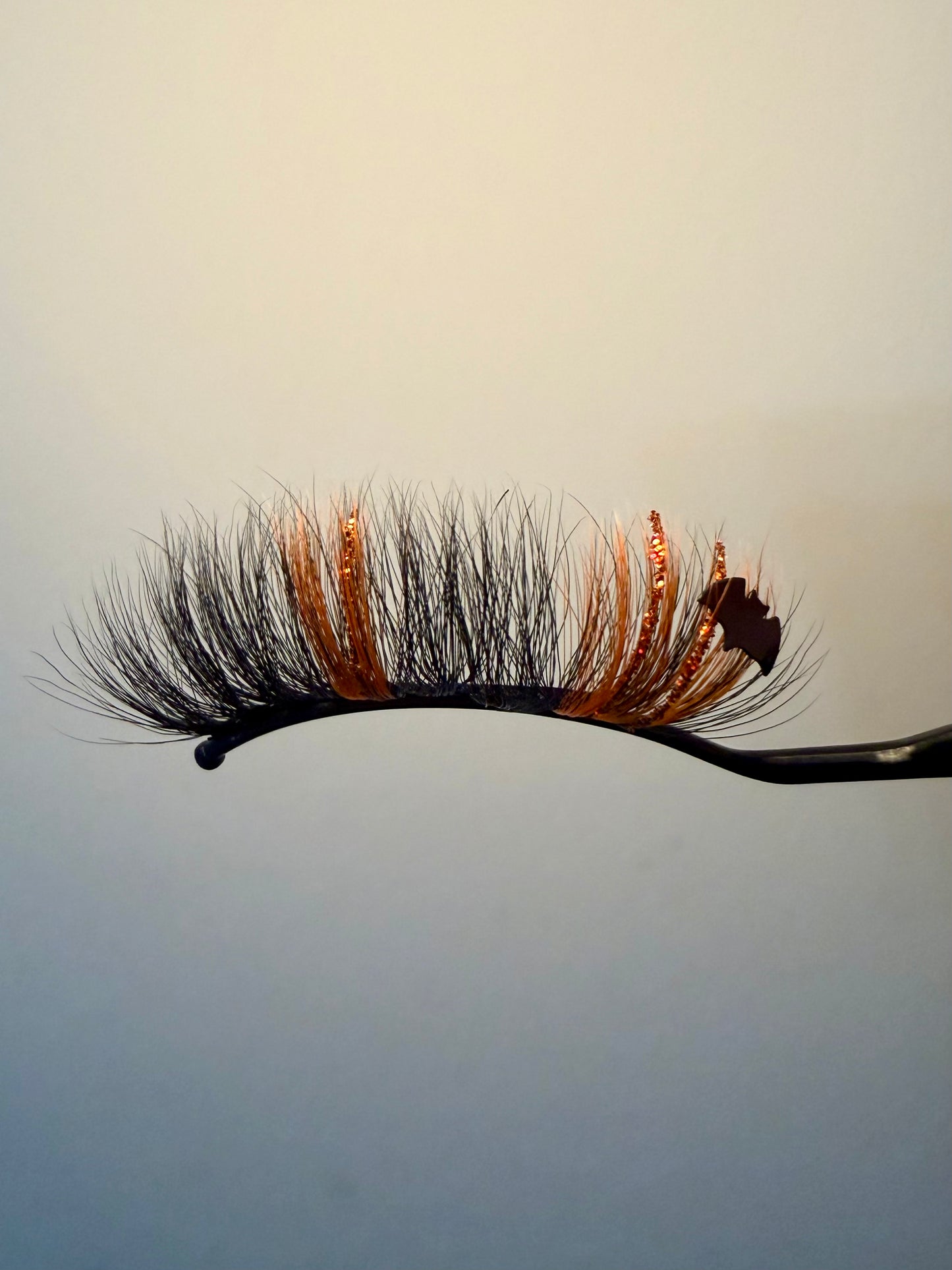 Pumpkin Spice - Bats Custom Strip Lash