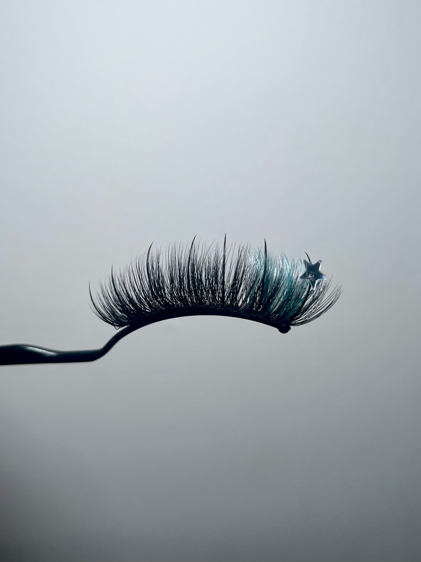 Customs -Single colour (Princess base lash)