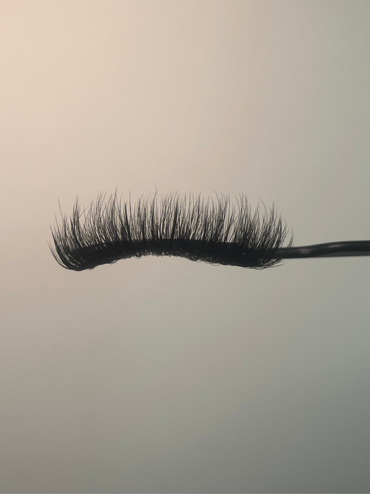 Morticia strip lash